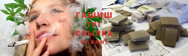 индика Грязовец