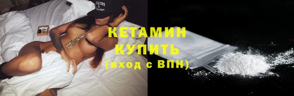 индика Грязовец