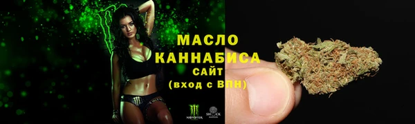 индика Грязовец