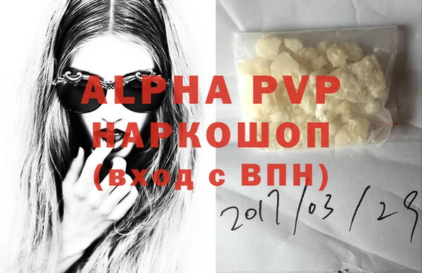 сатива Губаха