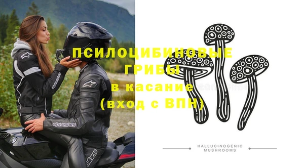 эйфоретик Вязьма