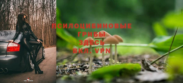 эйфоретик Вязьма
